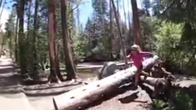 Little Girl That Is Standing On A Log