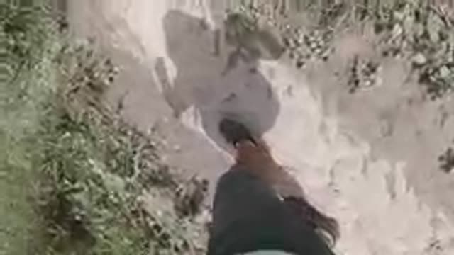 Shadow Of A Person Walking On A Dirt Path