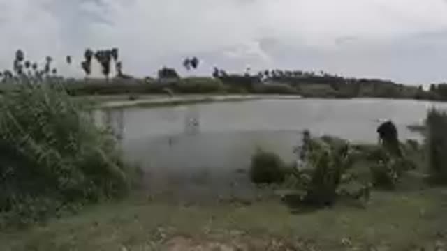 Man Standing In Front Of A Lake With A Dog