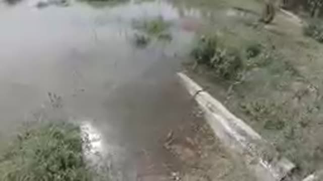 Small Pond With A Wooden Bench In It