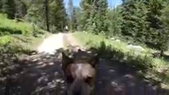 08-20-19-Colorado-USA-DJI_0175_13.mp4