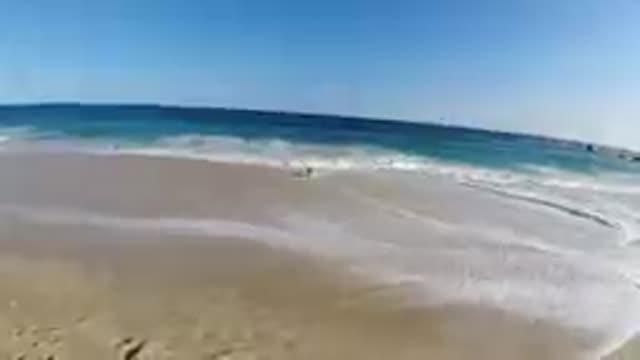 Person Walking On The Beach With A Surfboard