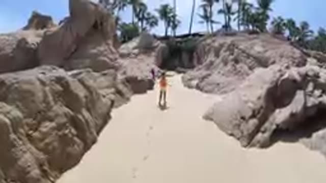 Walking On A Sandy Beach With Palm Trees In The Background