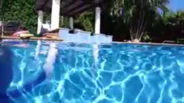 Young Boy Swimming In A Pool With A Blue Background