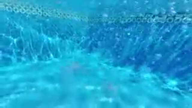 CABO BAJA CALIFORNIA SUR MEXICO-2019: Underwater View Of Bubbles Rising In Blue Water