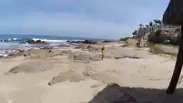 CABO BAJA CALIFORNIA SUR MEXICO-2019: Person Standing On Rocky Sandy Beach