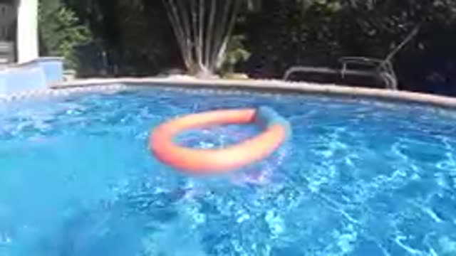 CABO BAJA CALIFORNIA SUR MEXICO-2019: Orange Pool Float Ring Floating In Blue Water