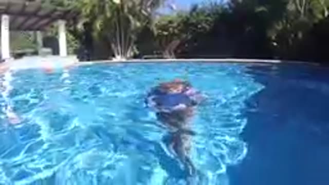 CABO BAJA CALIFORNIA SUR MEXICO-2019: Child Swimming In Blue Pool