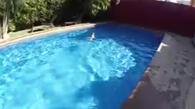 CABO BAJA CALIFORNIA SUR MEXICO-2019: Person Swimming In Outdoor Pool