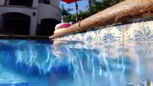 CABO BAJA CALIFORNIA SUR MEXICO-2019: Split Level View Of Pool Edge Tiles