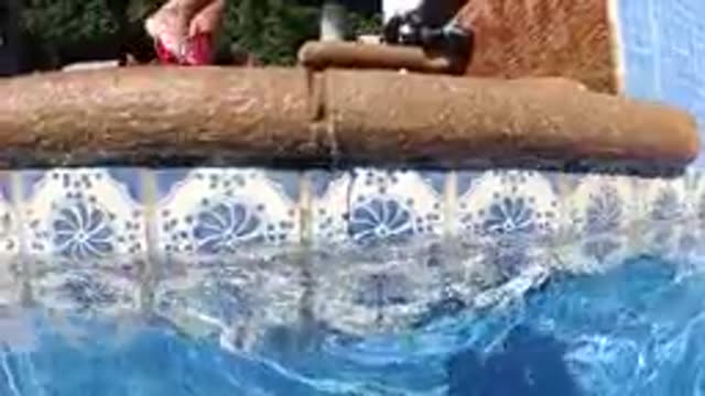 CABO BAJA CALIFORNIA SUR MEXICO-2019: Water Flowing From Poolside Log Feature