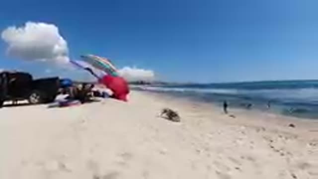CABO BAJA CALIFORNIA SUR MEXICO-2019: Beachgoers Relaxing Under Umbrellas Near Ocean