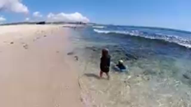 CABO BAJA CALIFORNIA SUR MEXICO-2019: Children Playing In Shallow Ocean Water