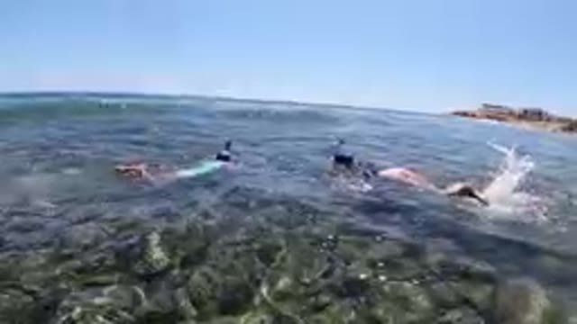 Los Cabos, Mexico-2019: Snorkeling Together in Los Cabos