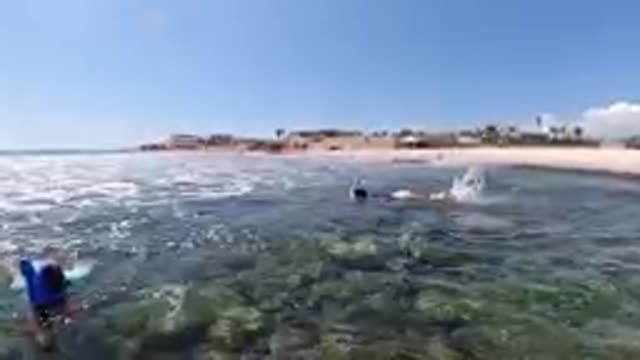 Snorkeling is Fun for Everyone