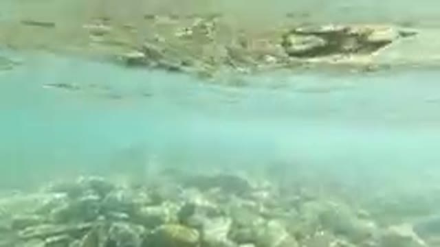 Underwater Rocks in Los Cabos