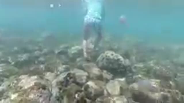 Underwater Greatness in Los Cabos