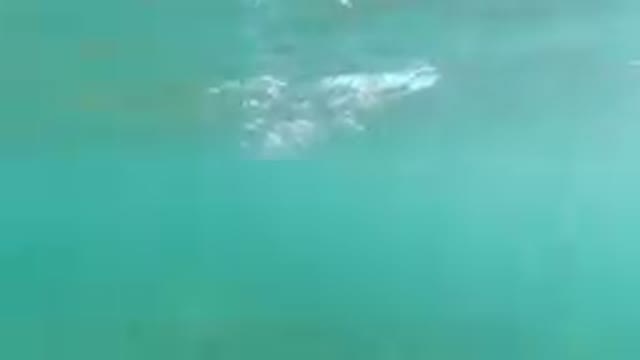 A Green Deep Sea in Los Cabos