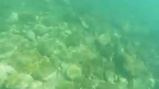 LOS CABOS, MEXICO-2019: Beautiful Underwater Scene in Tropical Ocean