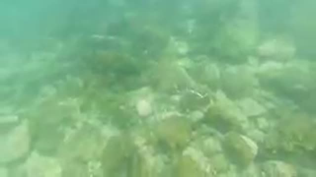 Underwater Rocks in Los Cabos