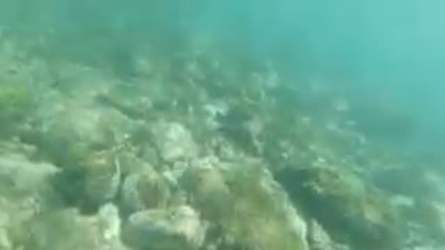 Big Rocks Under the Sea in Los Cabos