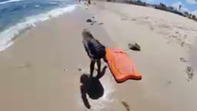 Los Cabos, Mexico-2019: Little Girl Brings Her Floater to the Sea