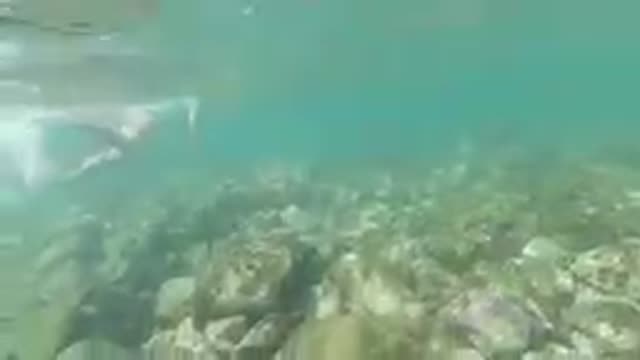 Beautiful Wife Swimming in Los Cabos