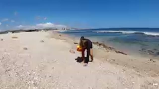 Los Cabos, Mexico-2019: Little Girl Collecting White Stones