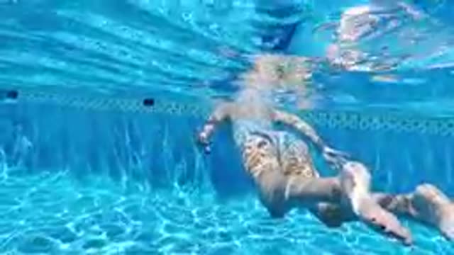 CABO BAJA CALIFORNIA SUR MEXICO-2019: Underwater View Of Person Swimming In Pool