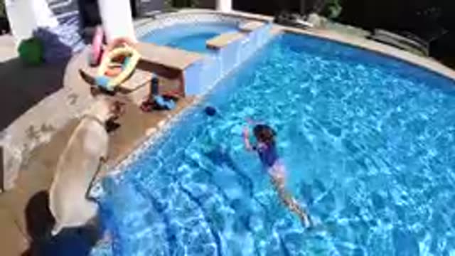 CABO BAJA CALIFORNIA SUR MEXICO-2019: Child Swimming in Pool with Dog on Deck