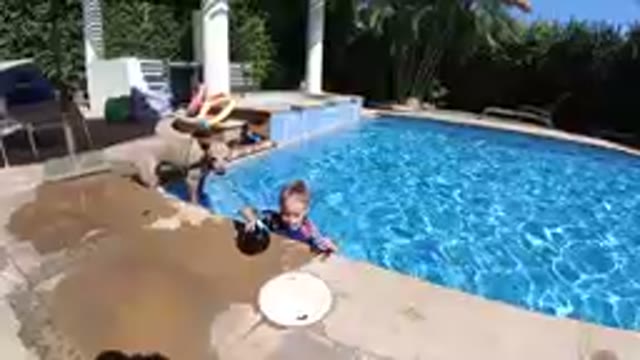Little Girl Playing With A Frisbee In A Pool