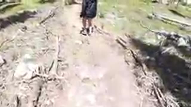 Person Walking Down A Path In The Woods