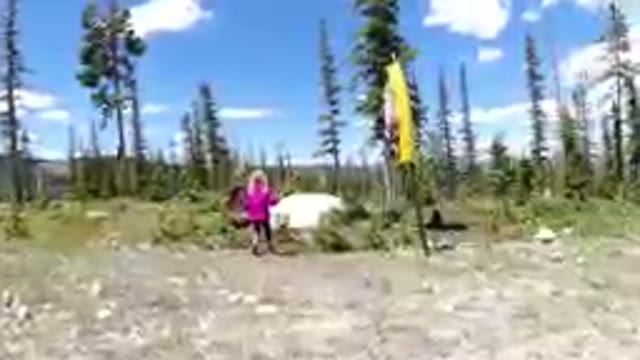 Woman Standing In The Middle Of A Field With A Dog