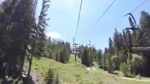 Ski Lift Going Up A Hill With Trees And Grass