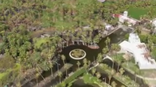 SAN JOSE DEL CABO BCS MEXICO-2023: Aerial Pond Surrounded By Palm Trees And A