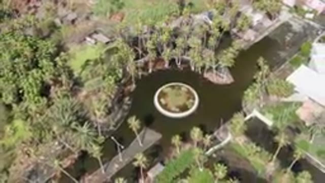 SAN JOSE DEL CABO BCS MEXICO-2023: Aerial Pond Surrounded By Trees And A Park