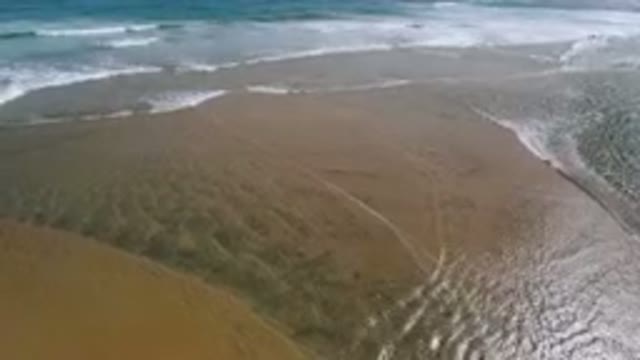 SAN JOSE DEL CABO BCS MEXICO-2023: Person Walking On The Beach With A Surfboard