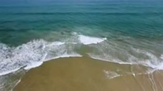 SAN JOSE DEL CABO BCS MEXICO-2023: Two Dolphins Swimming In The Ocean Near A