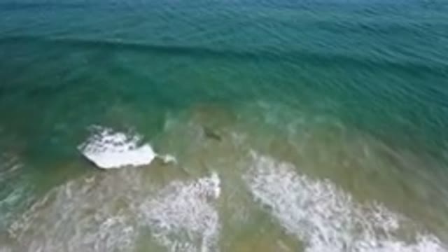 SAN JOSE DEL CABO BCS MEXICO-2023: Bird's-Eye View of Surfer Riding a Wave