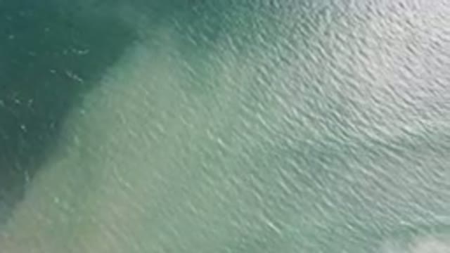SAN JOSE DEL CABO BCS MEXICO-2023: In The Water With A Surfboard On A Sunny Day