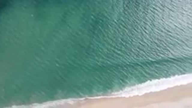 SAN JOSE DEL CABO BCS MEXICO-2023: Aerial Beach With A Surfboard And A Person On