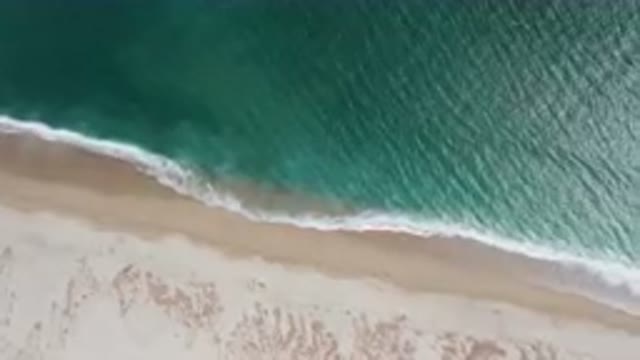SAN JOSE DEL CABO BCS MEXICO-2023: Aerial Beach With A Surfboard And A Person On