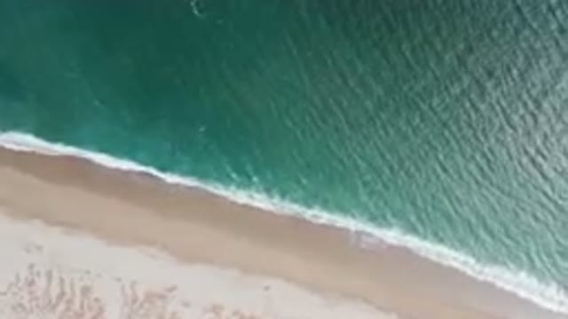 SAN JOSE DEL CABO BCS MEXICO-2023: Aerial Beach With A Surfboard And A Person On