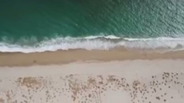 SAN JOSE DEL CABO BCS MEXICO-2023: Aerial Beach With A Surfboard And A Body Of Water
