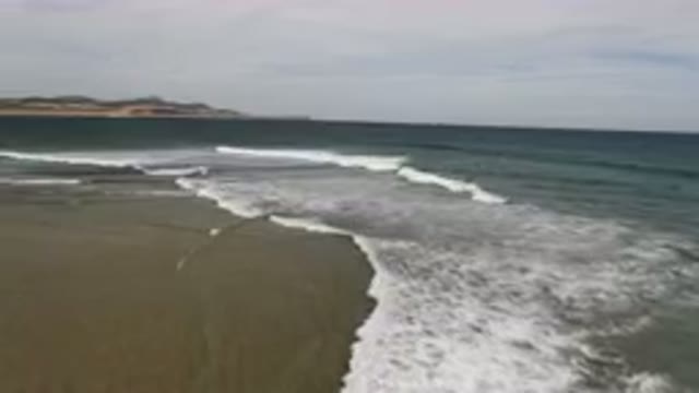 SAN JOSE DEL CABO BCS MEXICO-2023: Surfers Riding Waves on the Beach