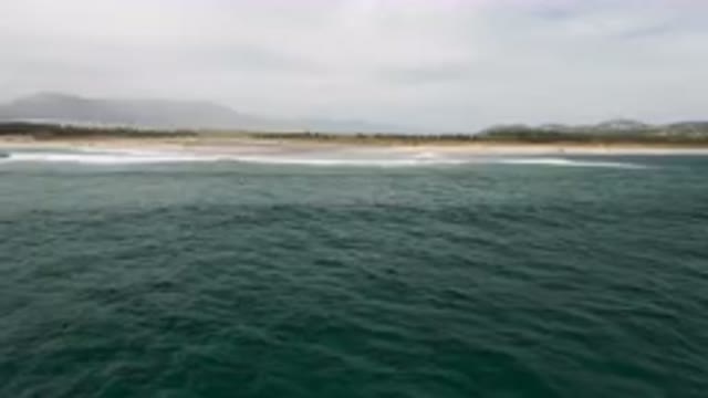 SAN JOSE DEL CABO BCS MEXICO-2023: Man Riding A Surfboard On The Ocean Waves
