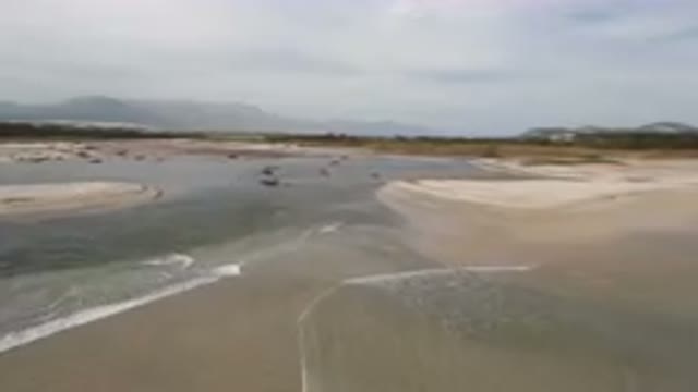SAN JOSE DEL CABO BCS MEXICO-2023: River Running Through A Sandy Area With Beach In Foreground
