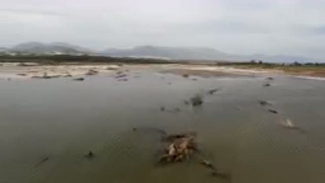 SAN JOSE DEL CABO BCS MEXICO-2023: Large Body Of Water With A Bunch Of Rocks In