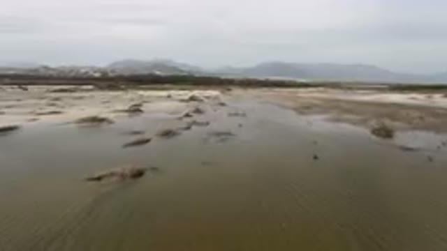 SAN JOSE DEL CABO BCS MEXICO-2023: Bird Flying Over A Muddy Beach With Mountains