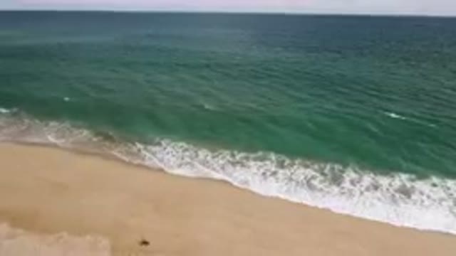 SAN JOSE DEL CABO BCS MEXICO-2023: Person Walking On The Beach With A Surfboard